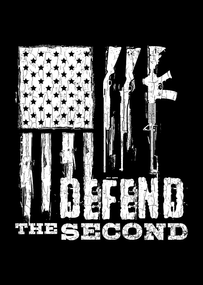 Defend The 2nd Amendment P