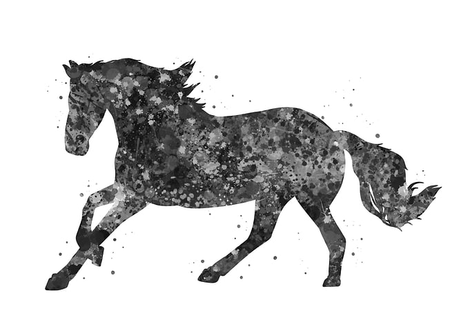 Horse animal