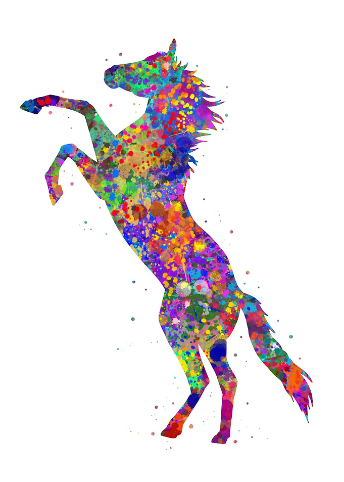 Horse stand up