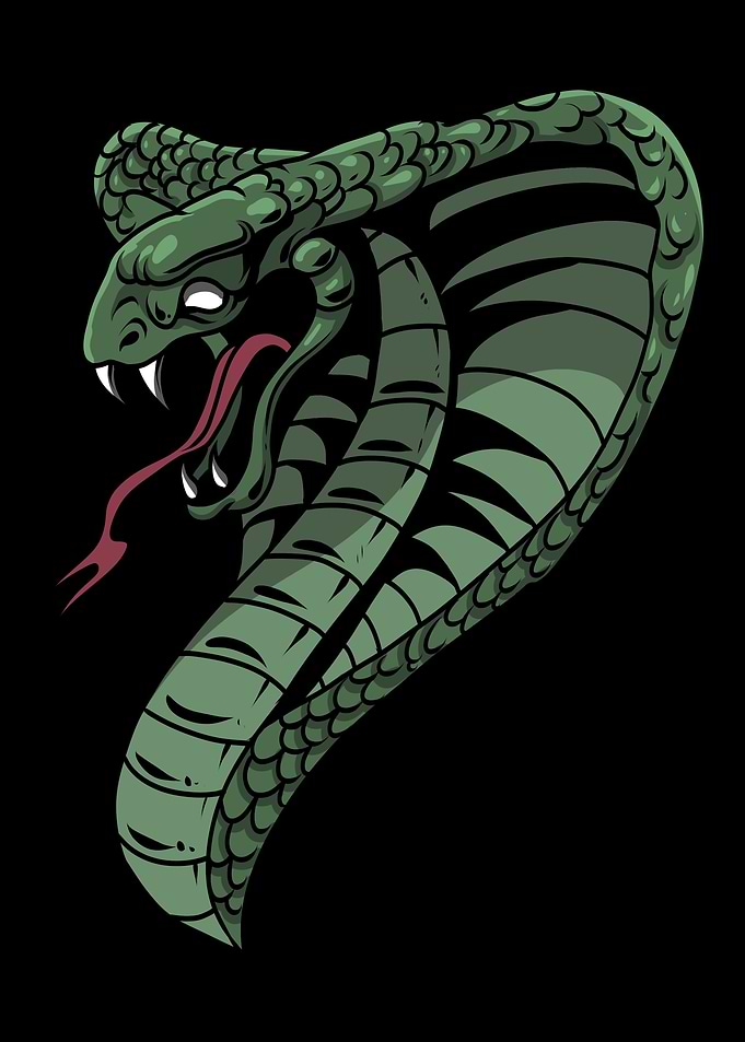 Snake