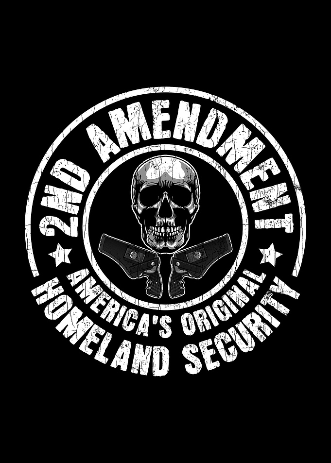 The 2nd Amendment Pro Gun