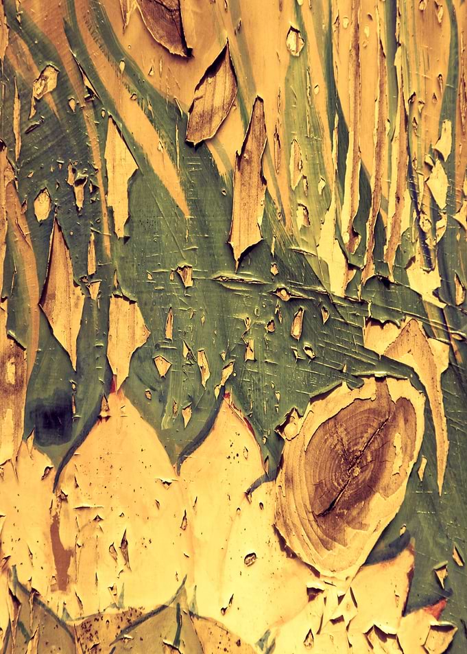 Old Wood 04