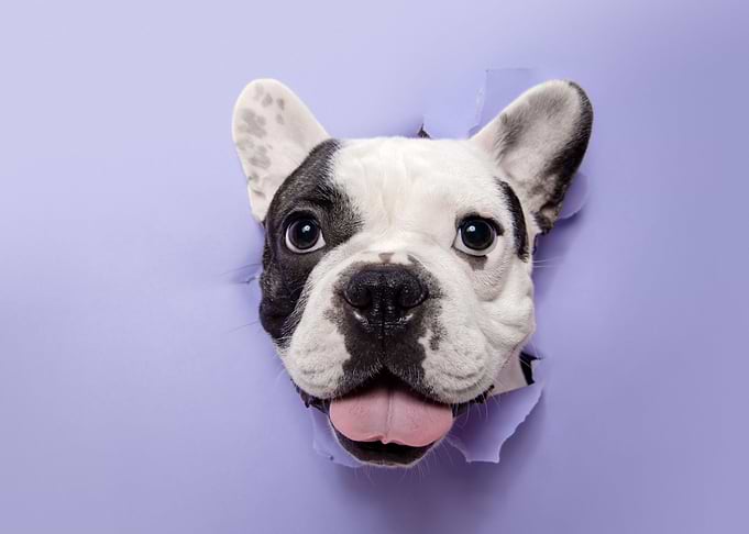 Nice to see you