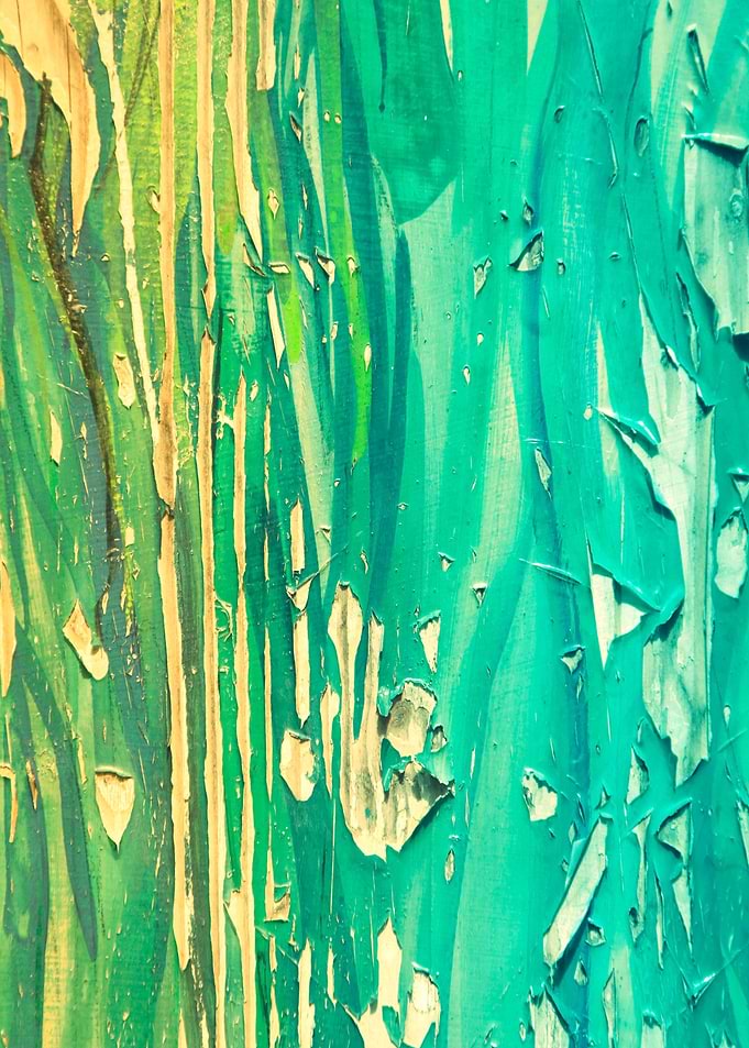 Old Wood 06