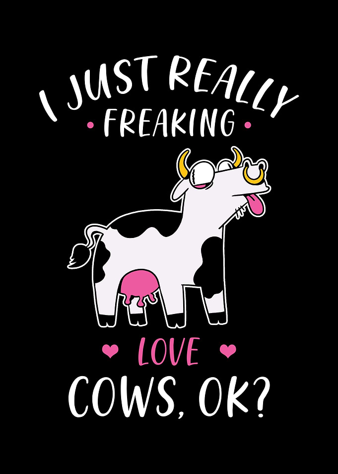 Cow Cows Love Funny