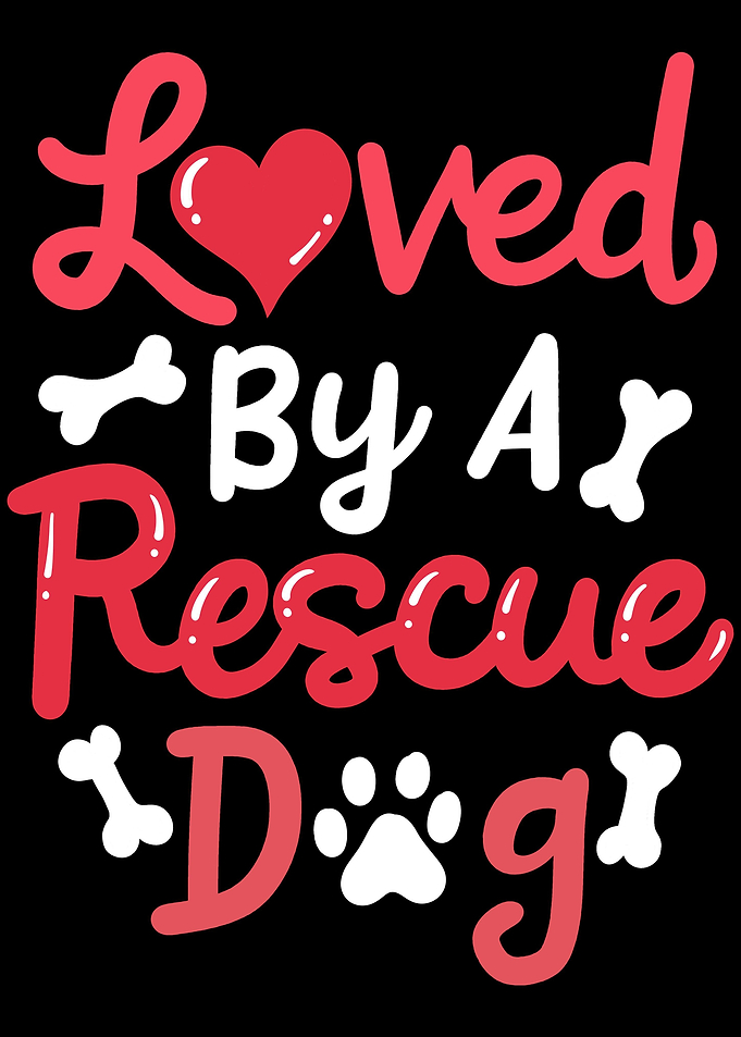 Rescue Dog