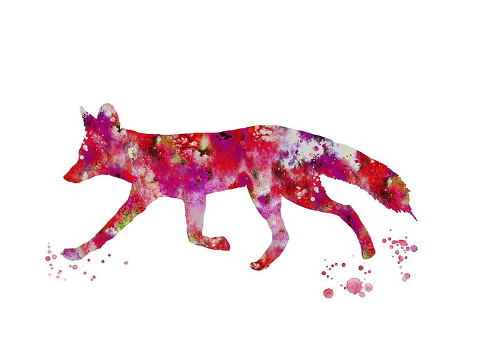 Fox