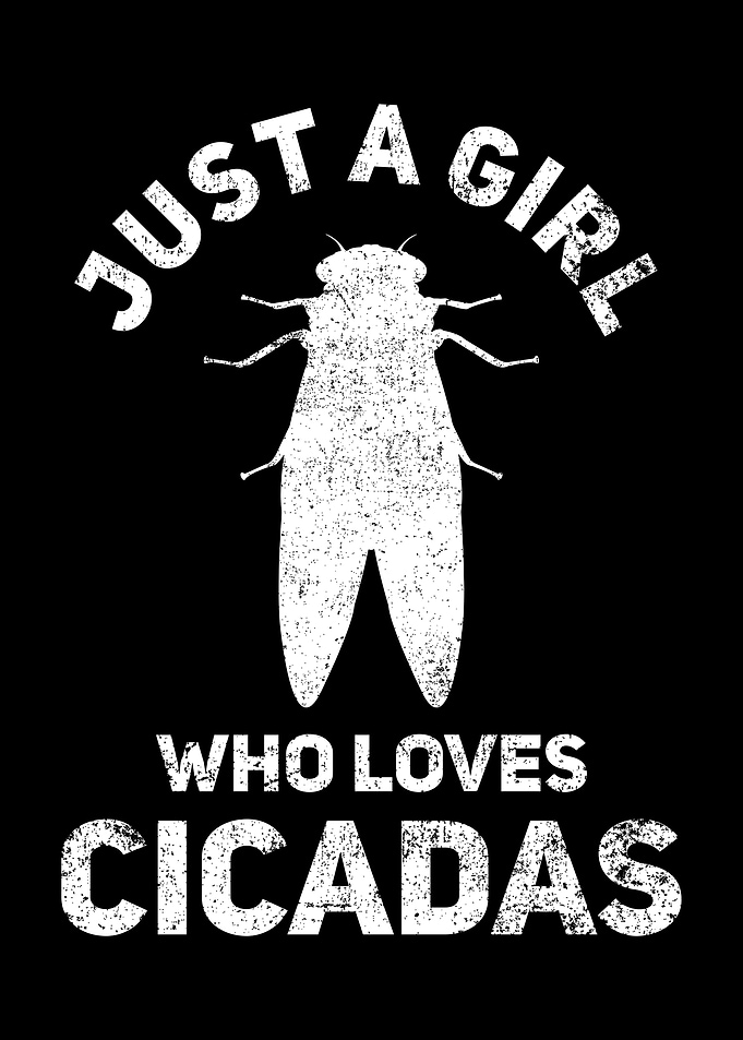 Cicada Insect