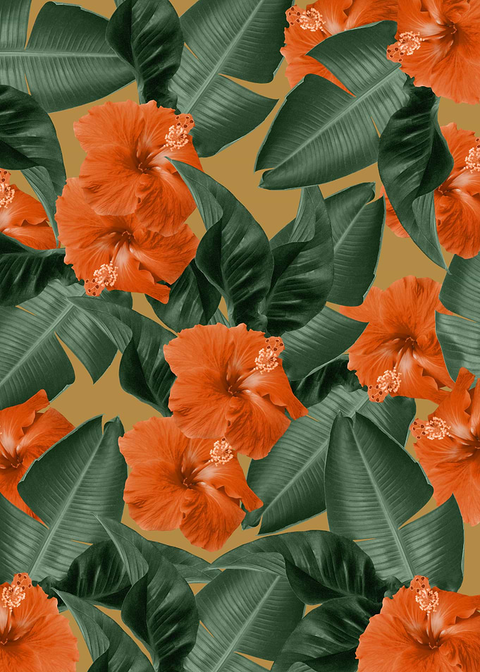 Hibiscus Jungle Leaves 3