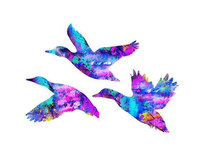 Ducks