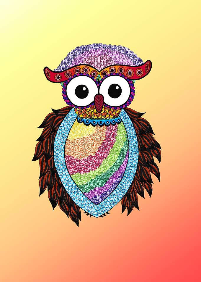 Owl Ways