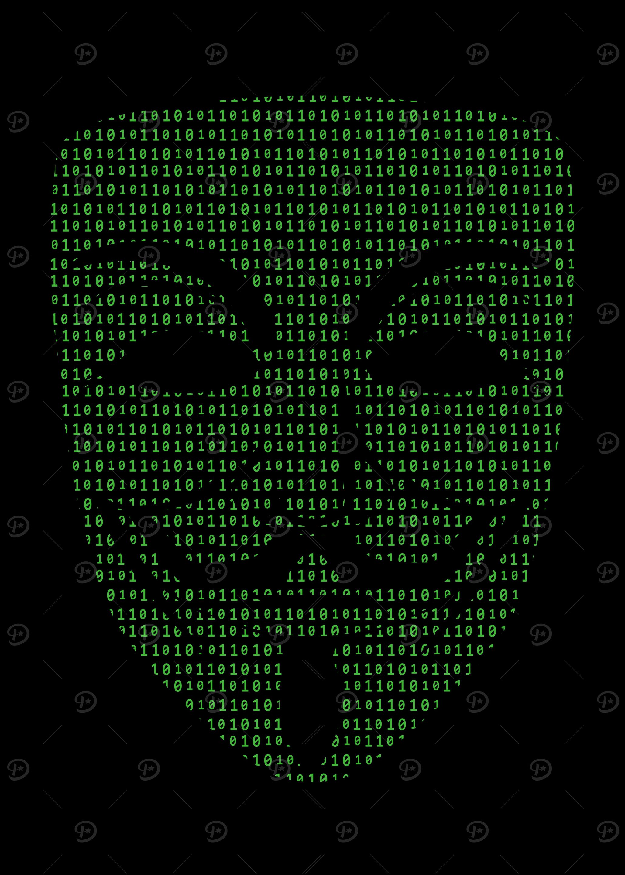 Anonymous Hacker