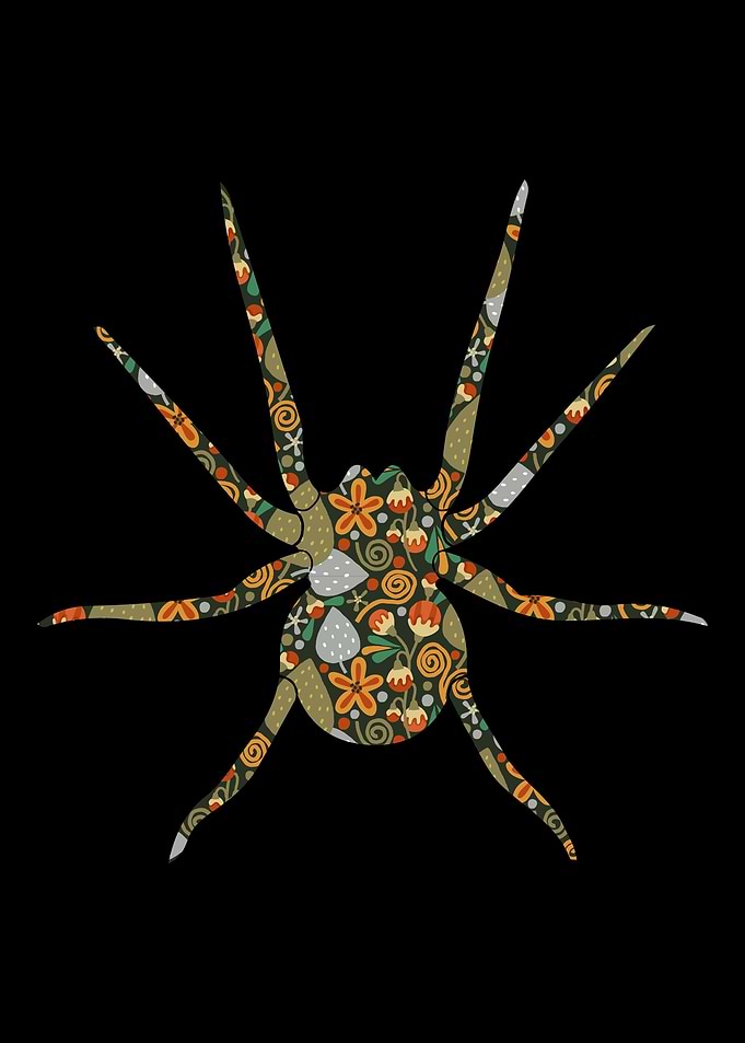 Spider