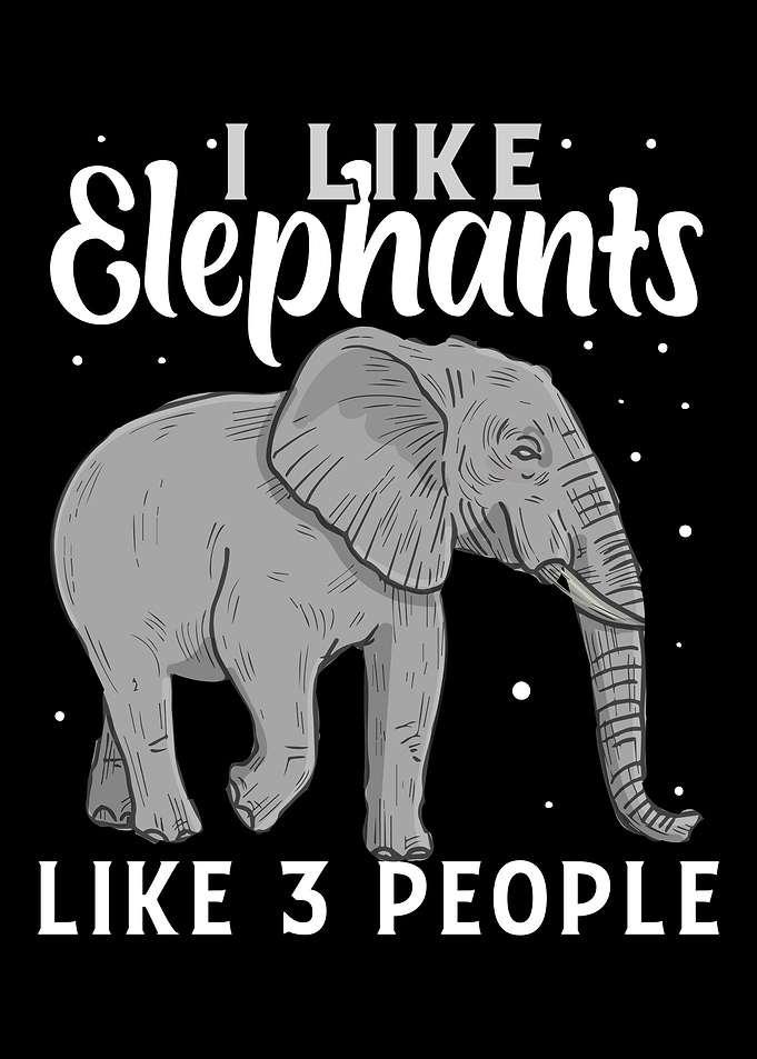 Elephant Animal Welfare
