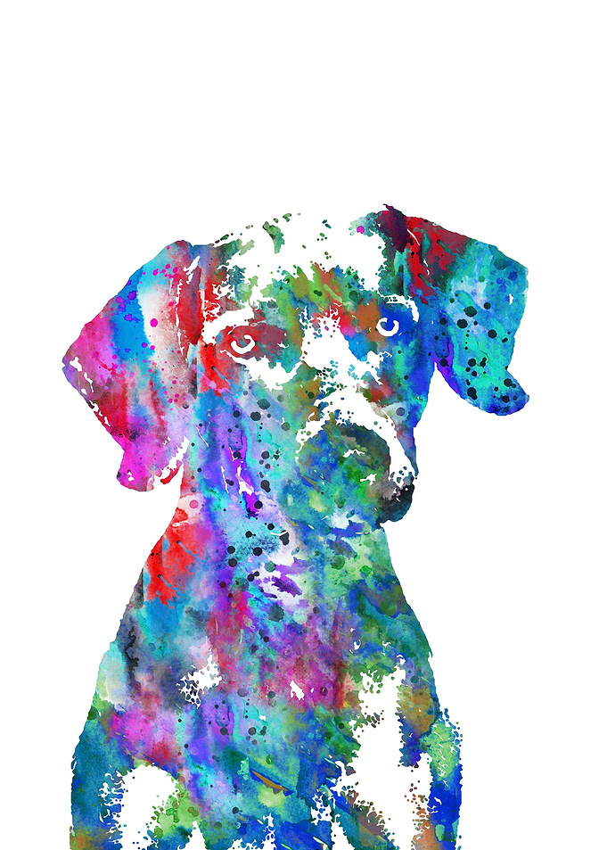 Weimaraner