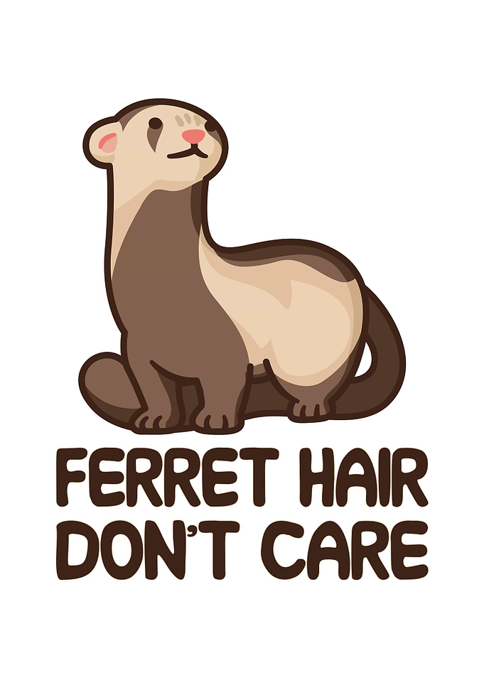 Ferret hair dont care