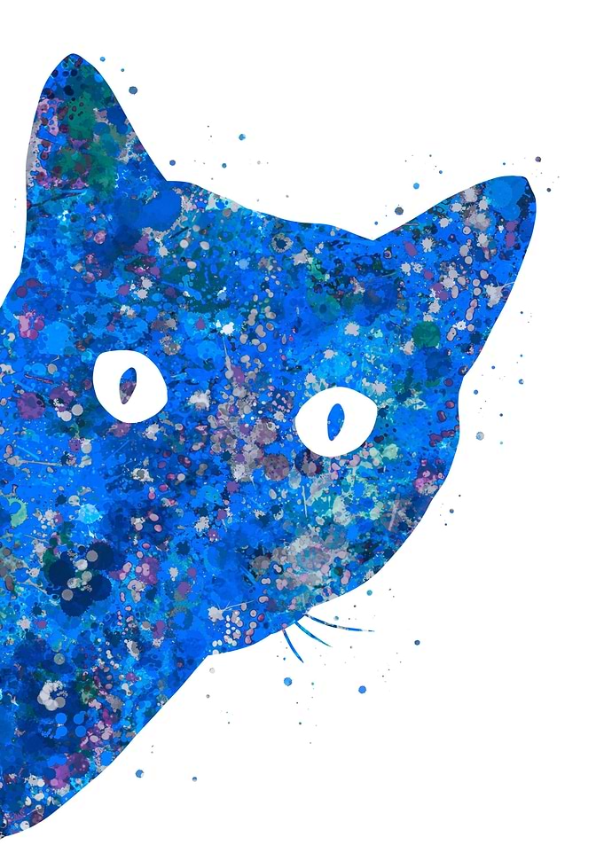 Cat blue art