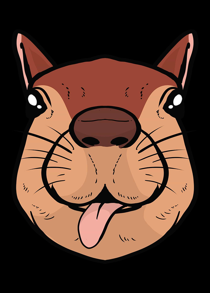 Squirrel