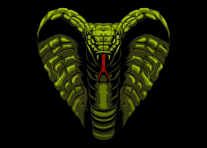 Snake