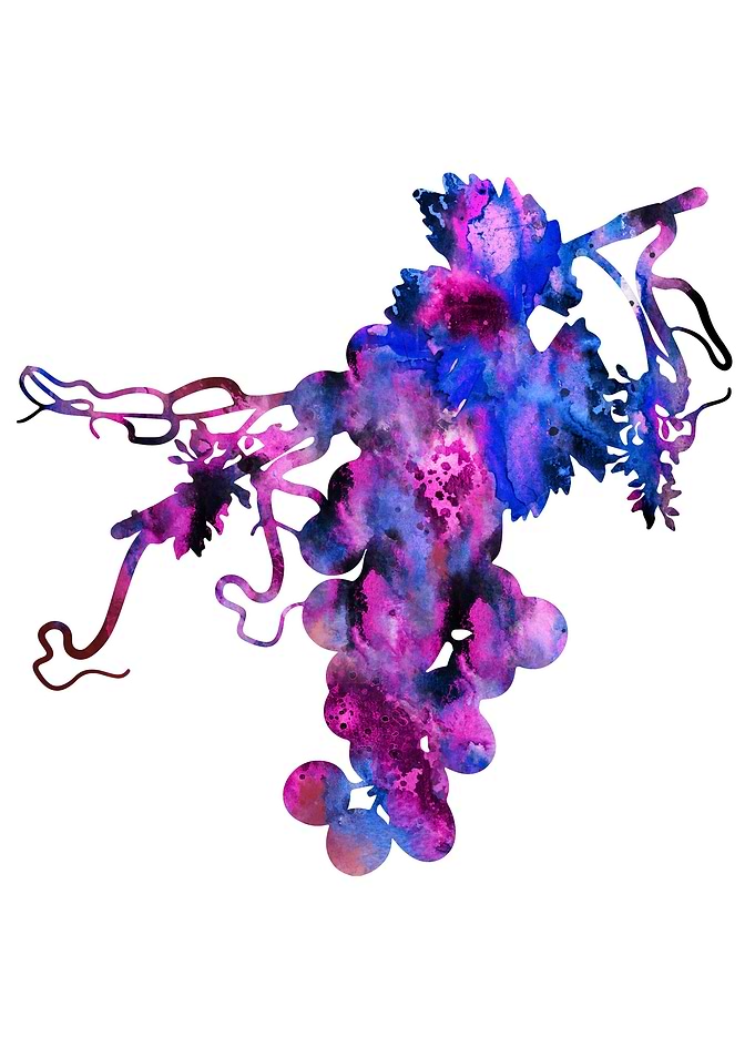 Grapes