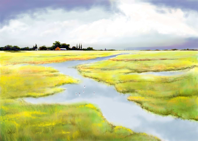 Wetlands