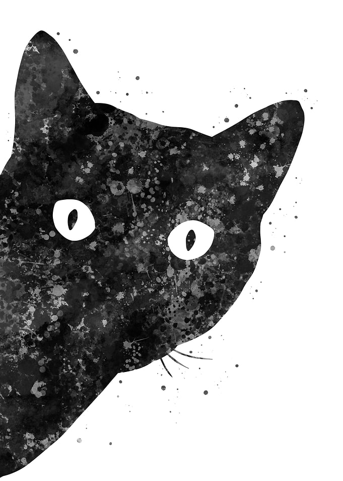 Cat peeking