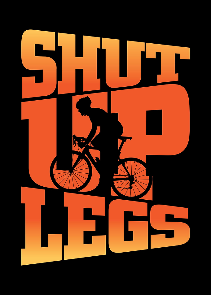 Mountain bike MTB