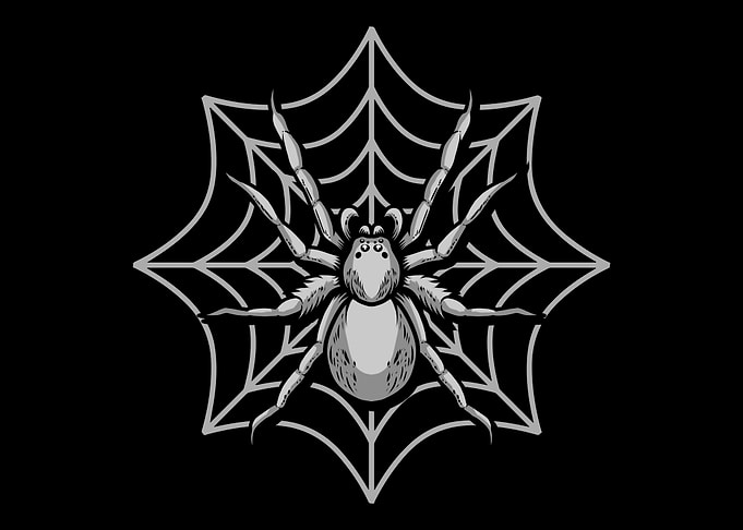 Spider