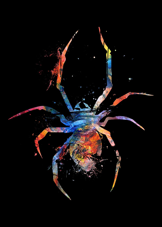 Spider