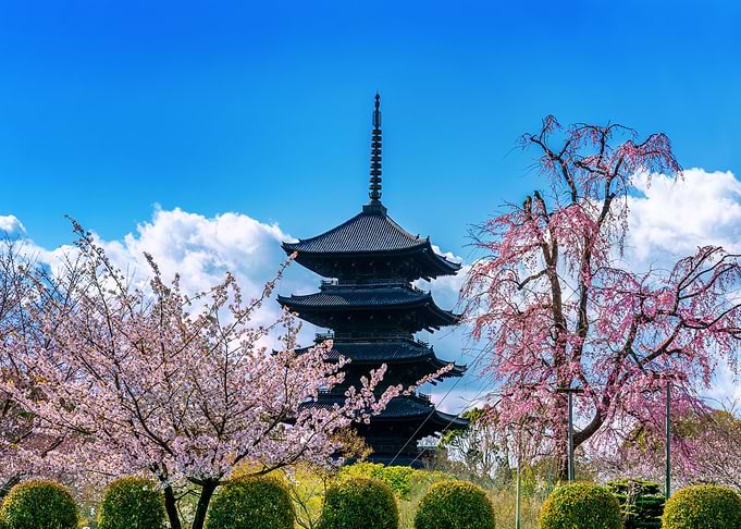 Pagoda Summer