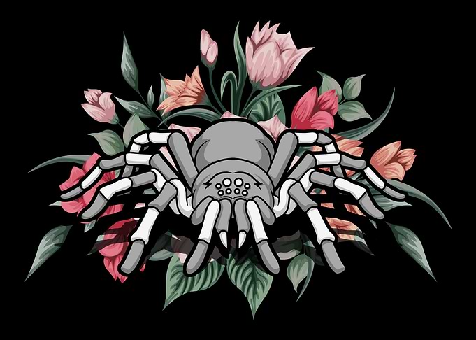 Spider