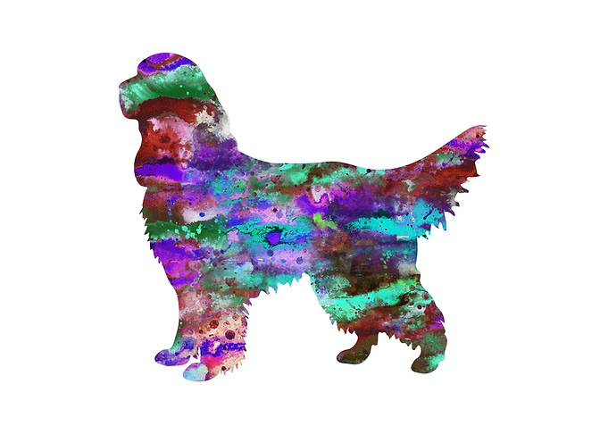Gordon Setter