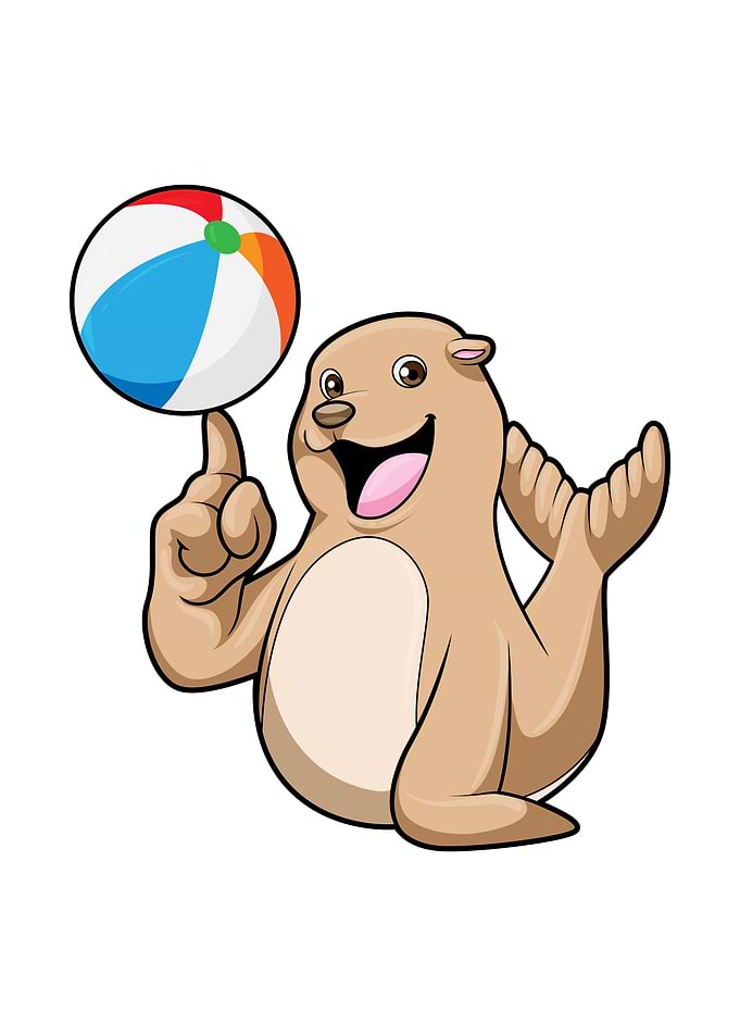 Seal Water polo