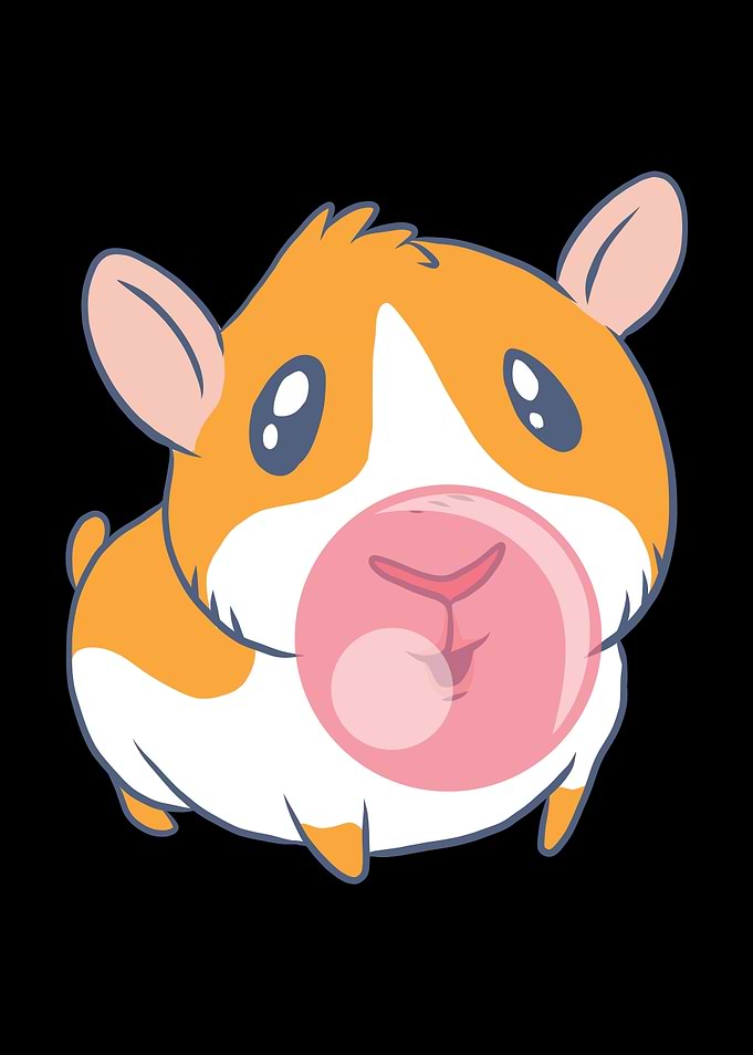 Guinea pig with chewing