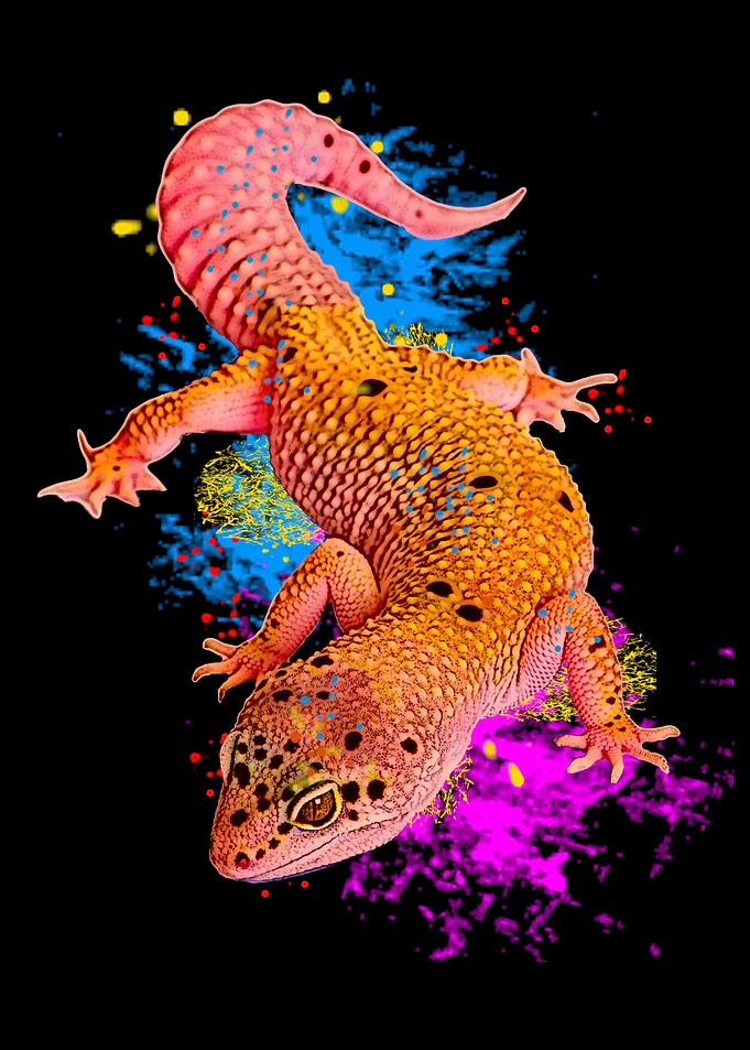 Leopard Gecko Neon Print