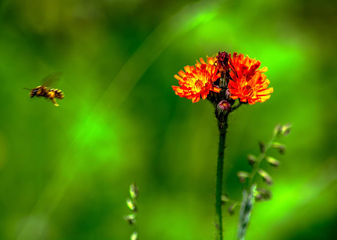 Enjoy nature