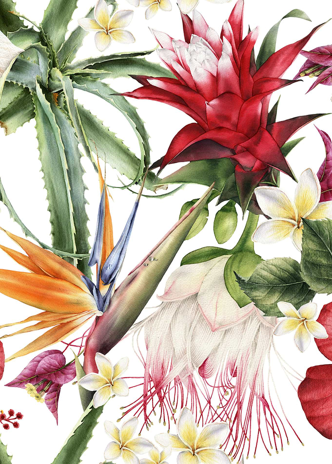 White Tropical Pattern 03