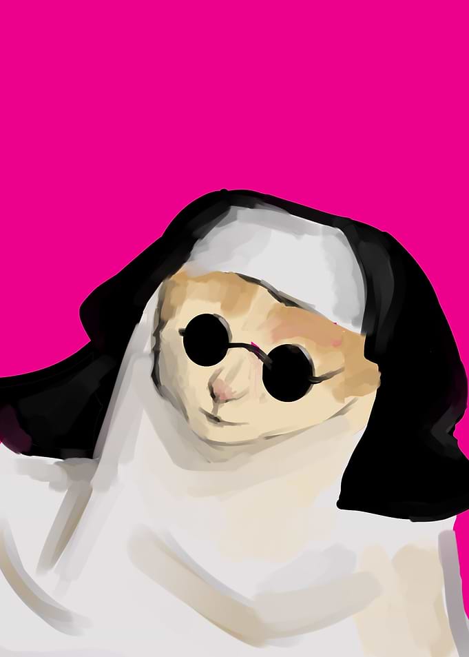 cat with nun suit