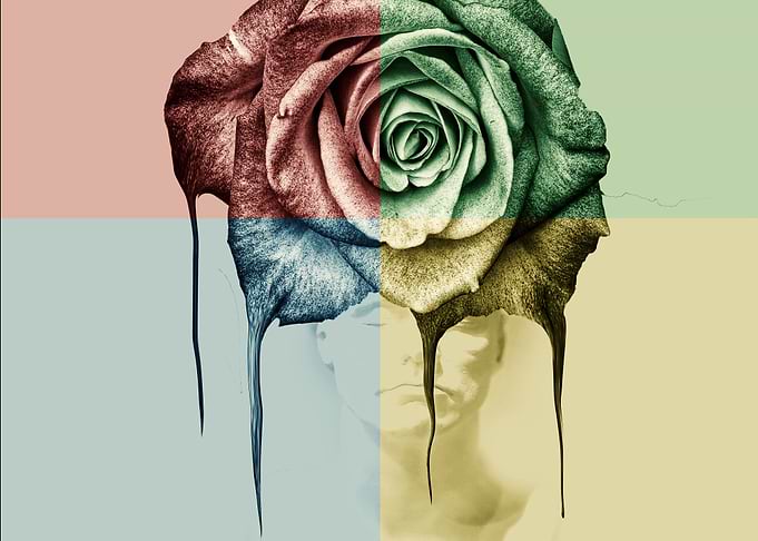 rose