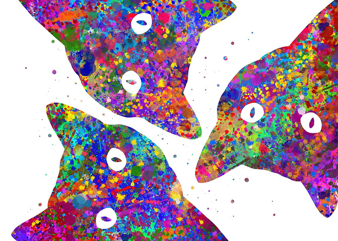 Cat peeking pop art