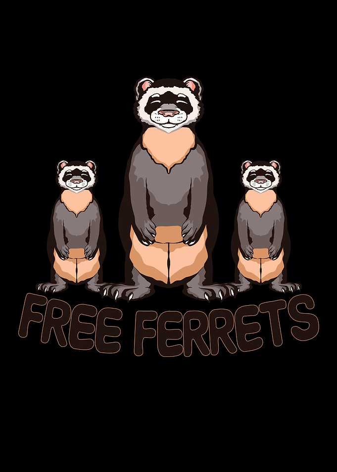 Free ferrets