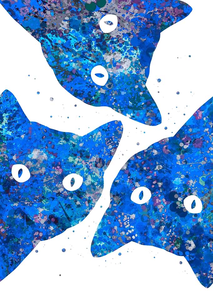 Cat peeking blue art
