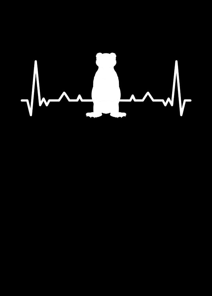 Heartbeat and ferret