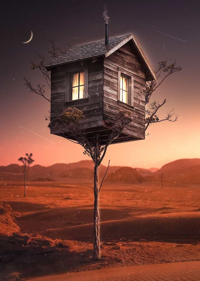 Treehouse 3