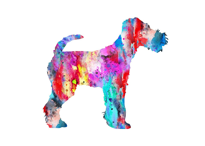Fox Terrier