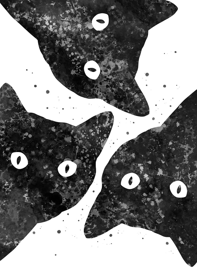 Three cats peeking