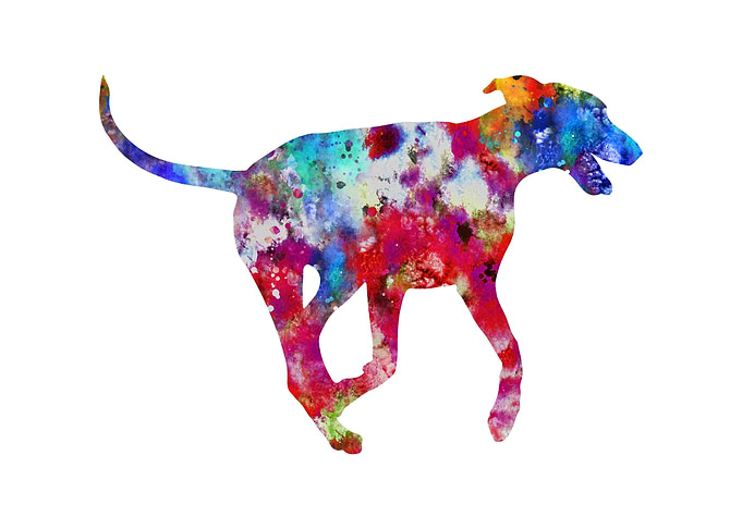 Doberman