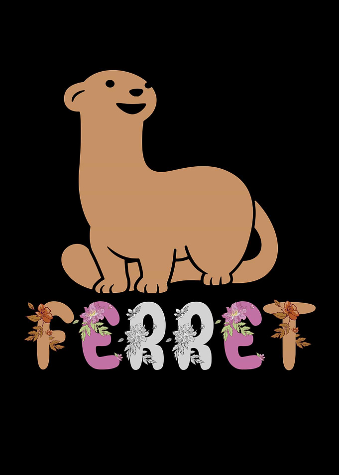 Ferret