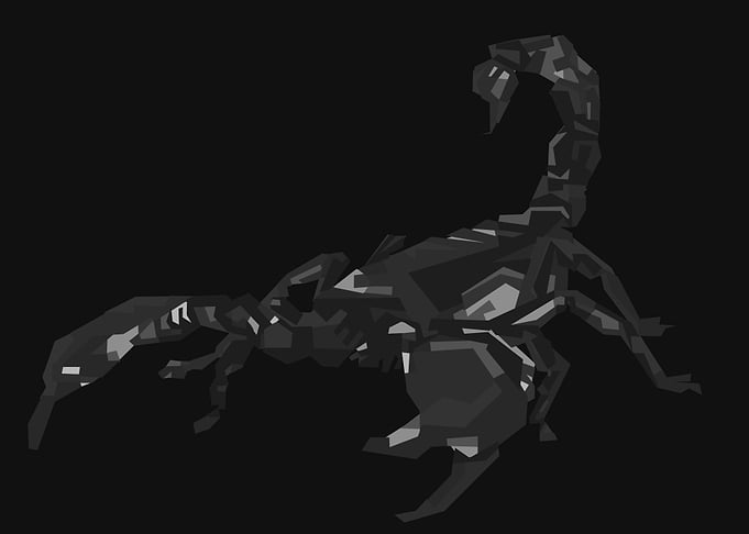 scorpion fossils