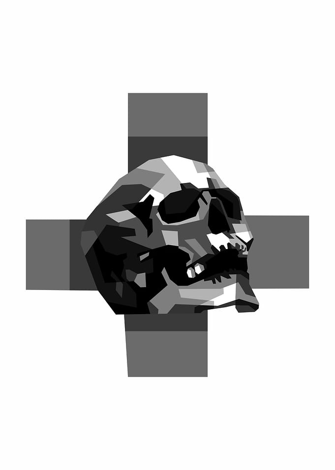 The skull is a bone struct